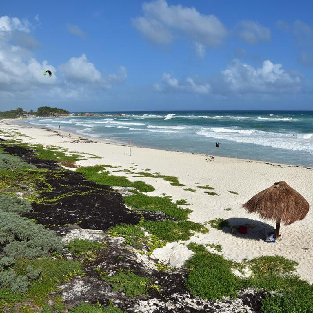 Побережье океана