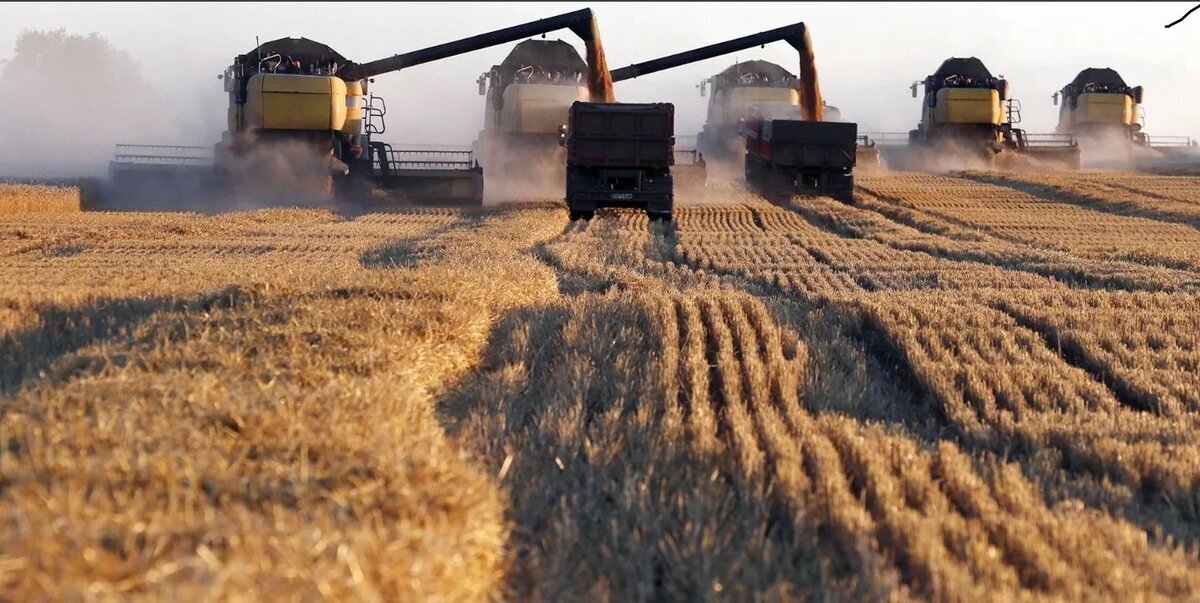 Добавьте описание