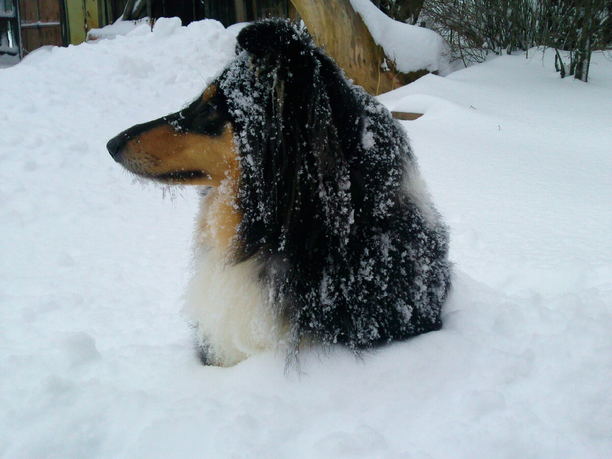 из личного альбома