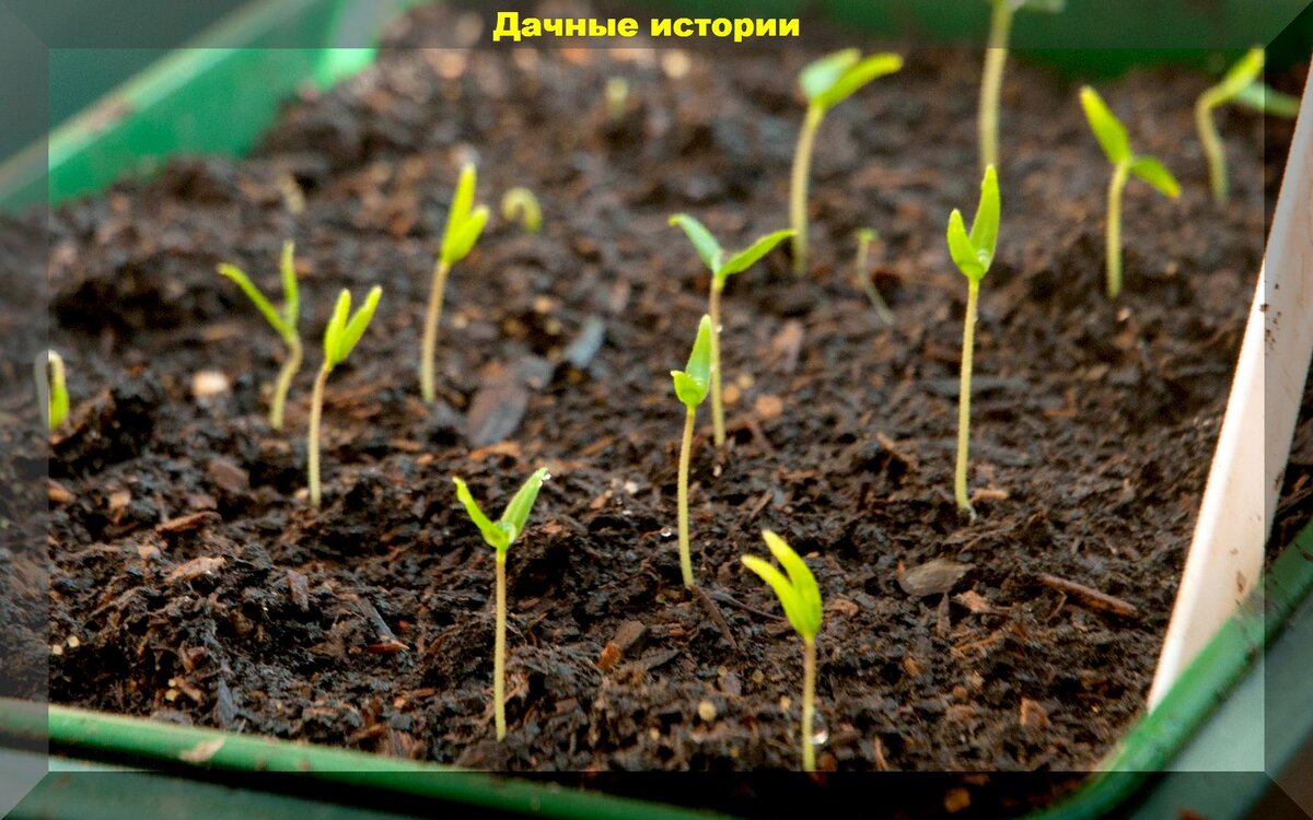 https://vk.com/photo-159774511_457250782