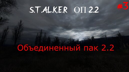 Сталкер оп 2.2 куртка для шустрого. Сталкер оп 2.2 куртка для шустрого