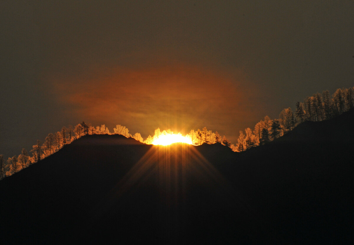 Фото Ольга Шадрина
