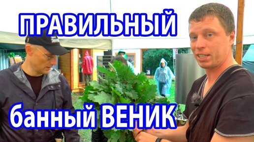 Как вязать березовые веники для бани?