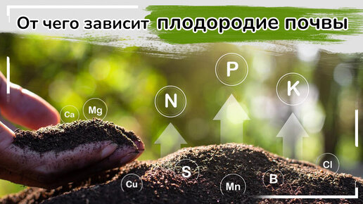 От чего зависит плодородие. От чего зависит плодородие почвы. Что повышает плодородие почвы. Грунт ваше плодородие. Электронная карта почвенного плодородия.