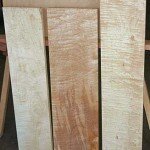 Твердый (горный) клен