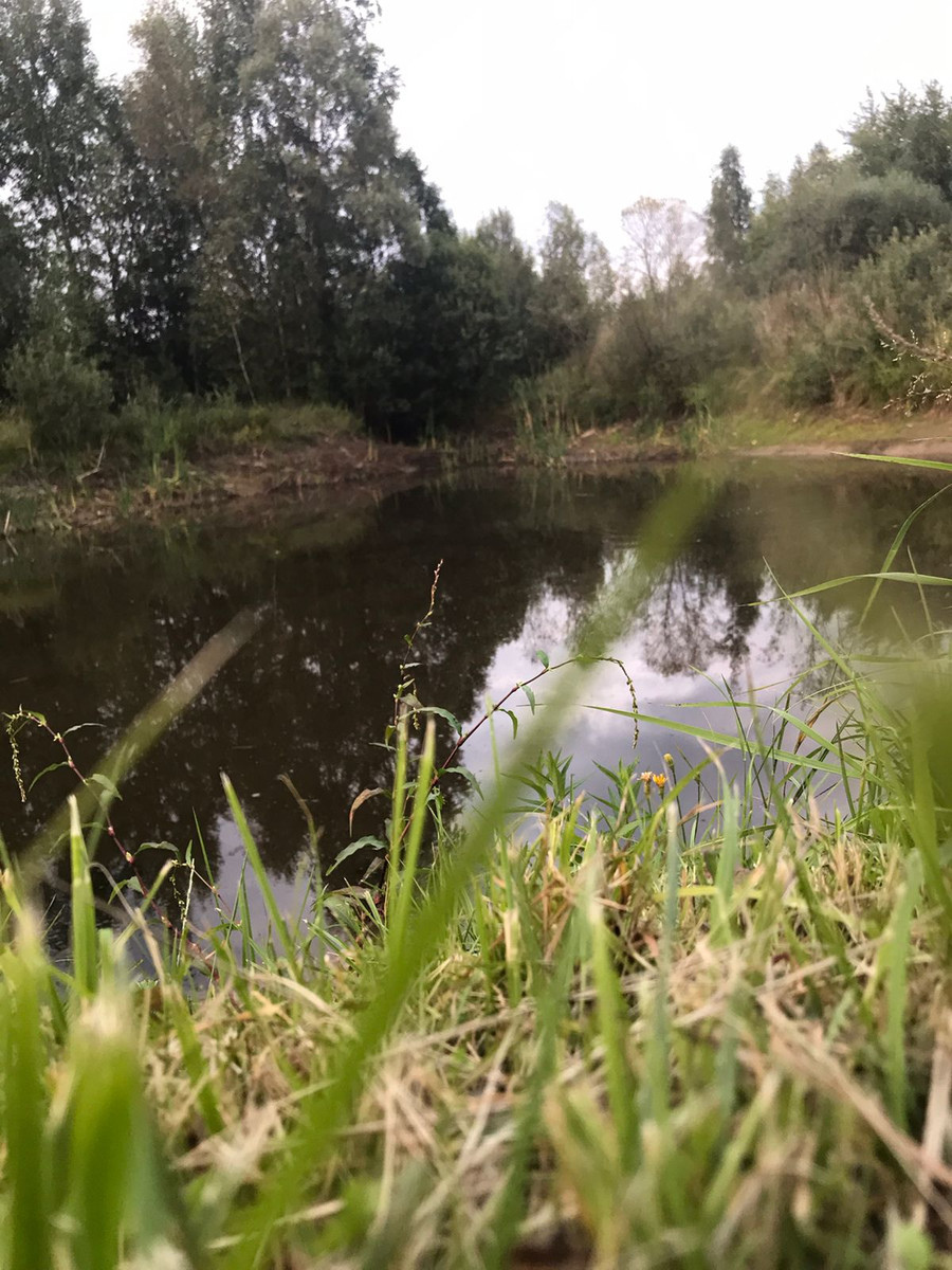 фотка из личного. "Зелееееная, зелеееееная травааааа!"