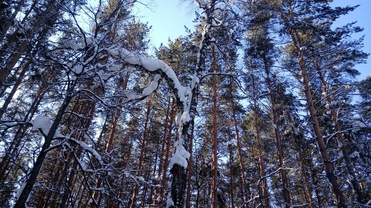 Фото автора.