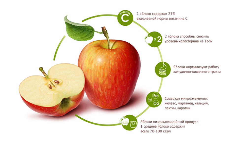 Питательные вещества фруктов. Полезные свойства яблок для организма человека. Польза яблок. Чем полезны яблоки. Что полезного в яблоках.