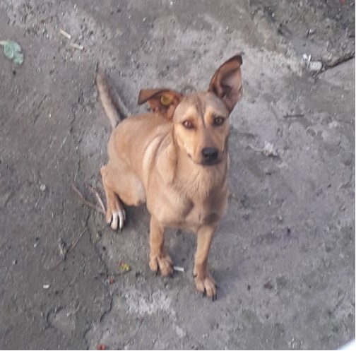 Фото реальной Найды.