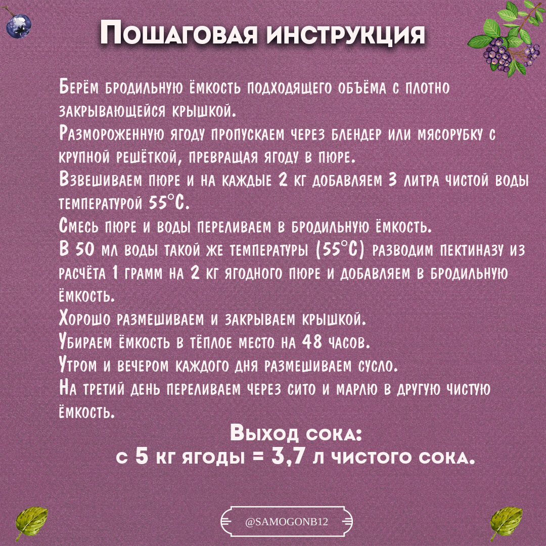 Как превратить ягоды черноплодной рябины в сок с максимальным выходом. Пошаговая инструкция. ©