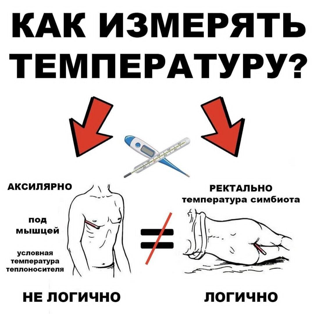 Как измерять температуру? | Пищевая Алхимия | Дзен