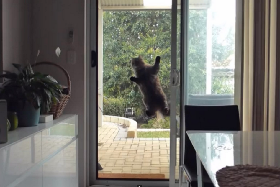 Причина 1: Независимость и самостоятельность