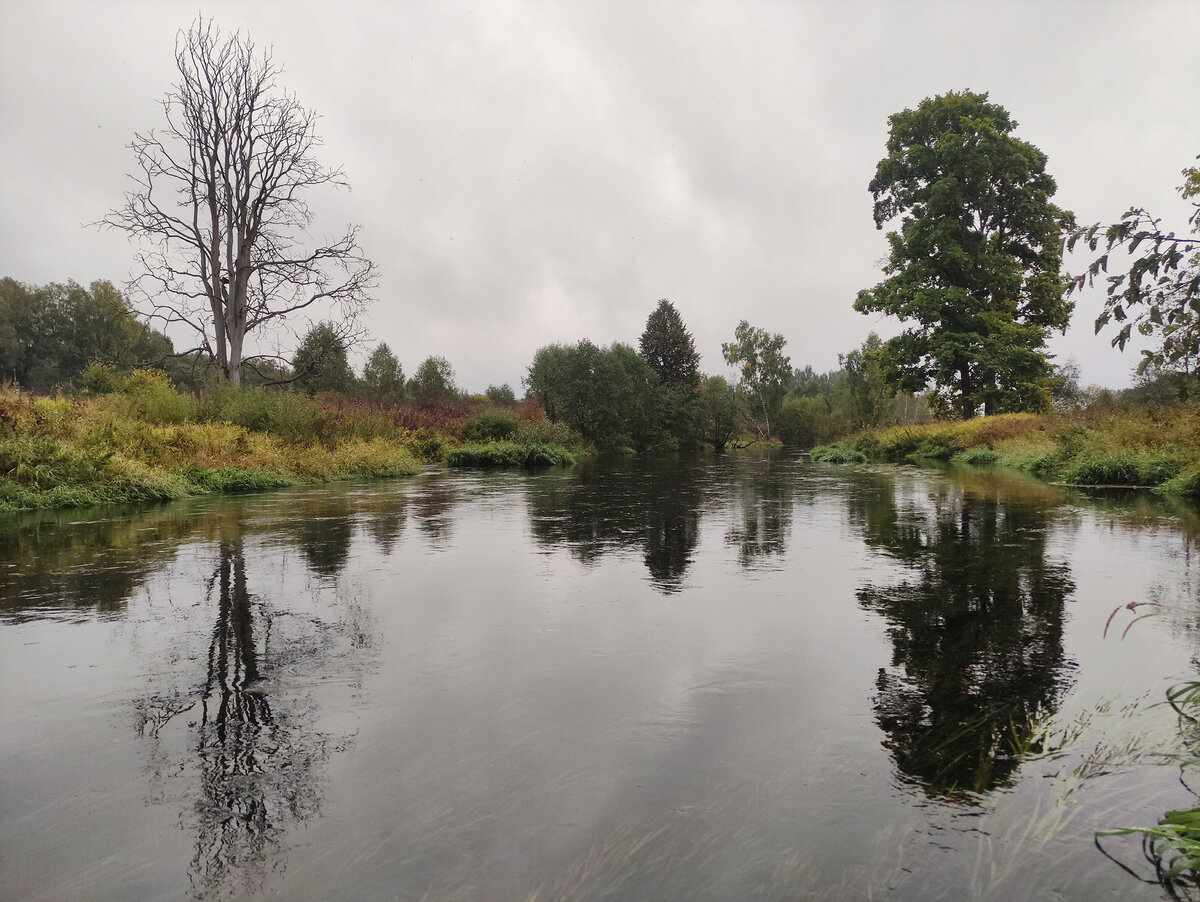 Яна Левашова ©