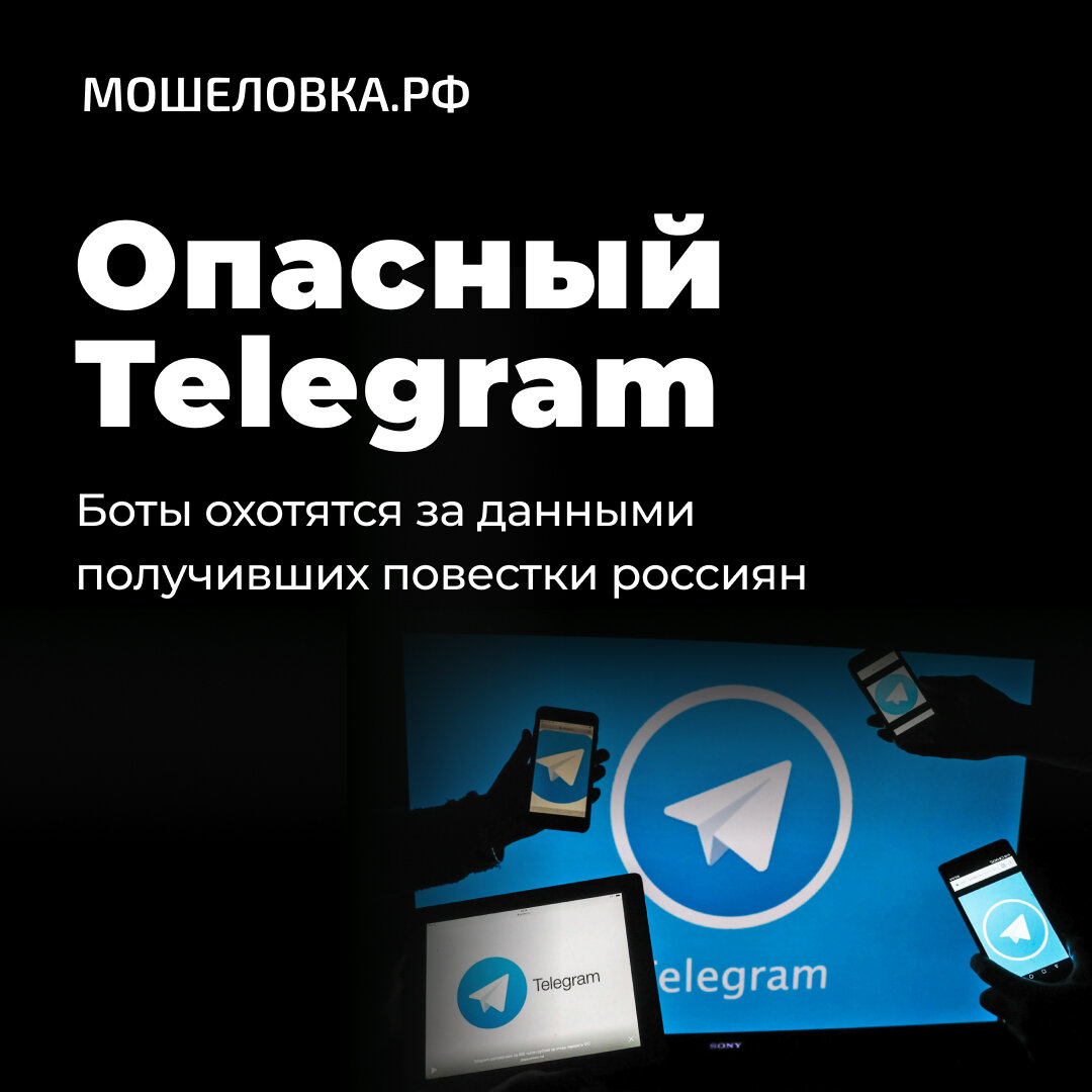 Телеграм-боты псевдоактивистов охотятся за данными получивших повестки  россиян | МОШЕЛОВКА.РФ | Дзен