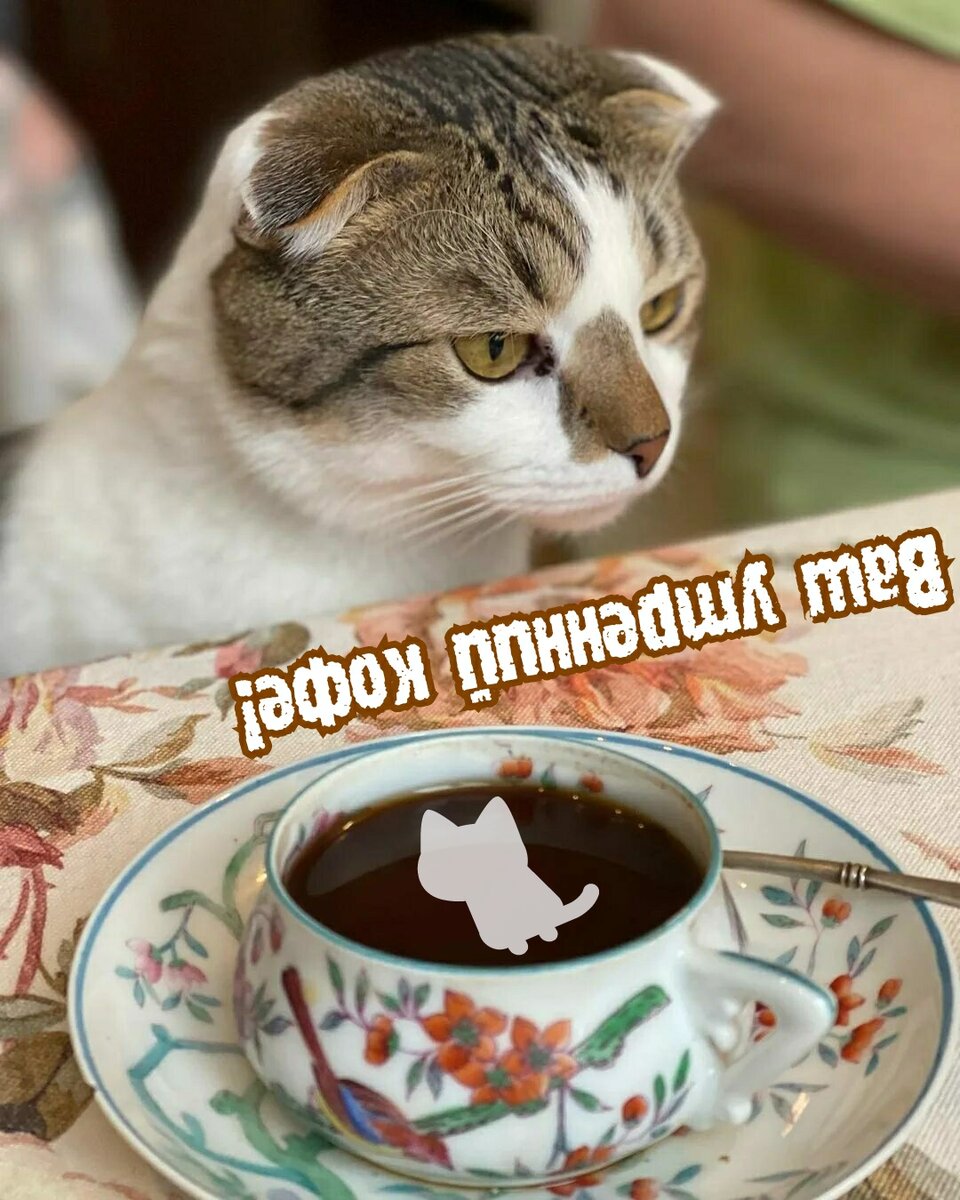 Источник: Яндекс картинки