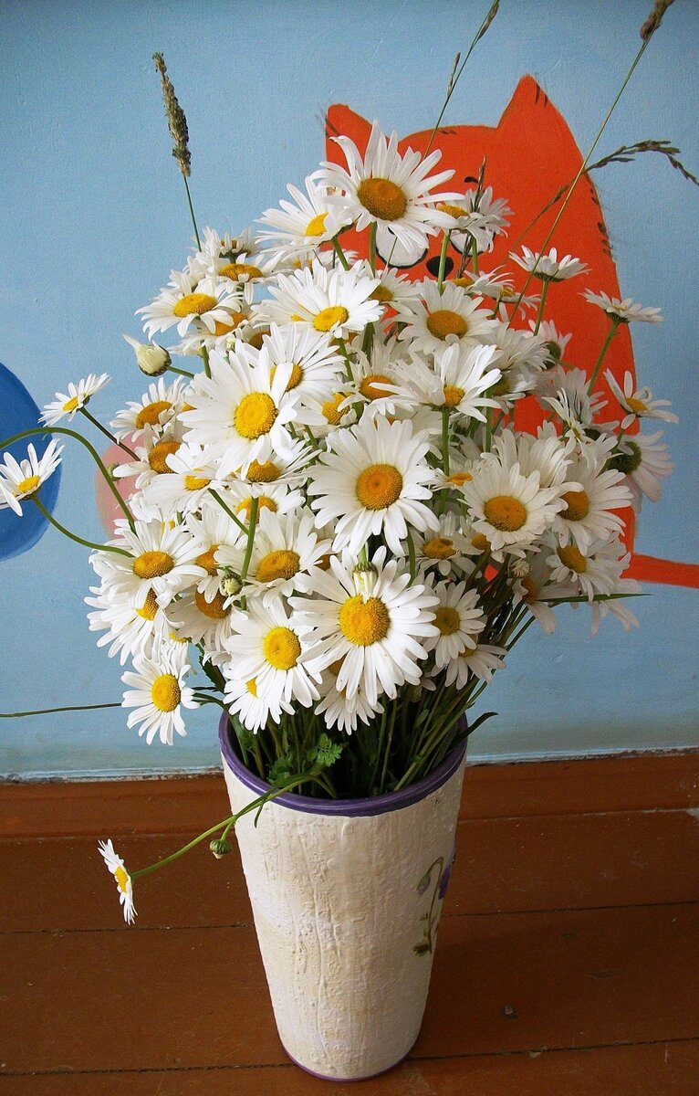 Яндекс картинки 