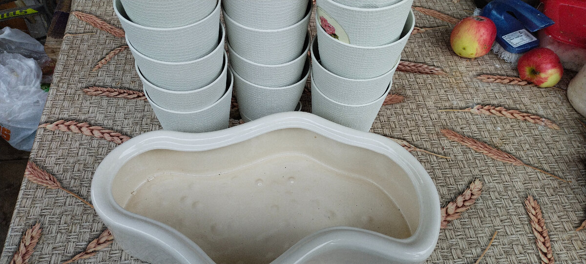 Горшочки для посадки декабристов и бонсайница .