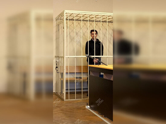     Прокурор запросил для Кота девять с половиной лет колонии. Фото: объединенная пресс-служба судов Петербурга