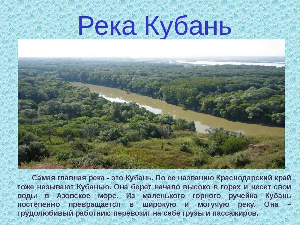 Старица краснодар. Исток река Кубань Краснодарский край. Река Кубань описание. Рассказ о реке Краснодарского края. Водоемы Краснодарского края река Кубань.