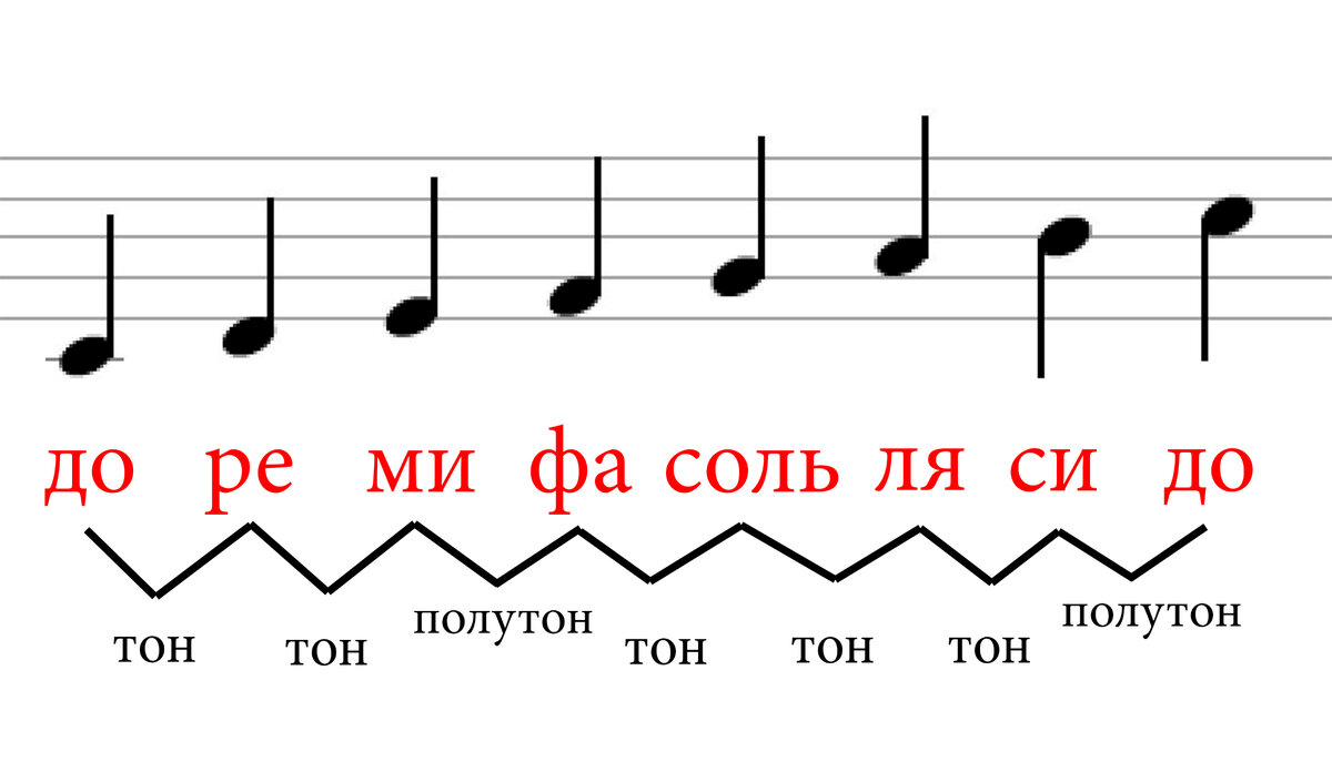 Как называются ноты