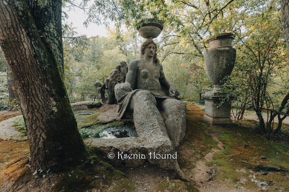 �������� ������: ���� ���������� ���� ����������� ���������� �������� ��� ����� ����