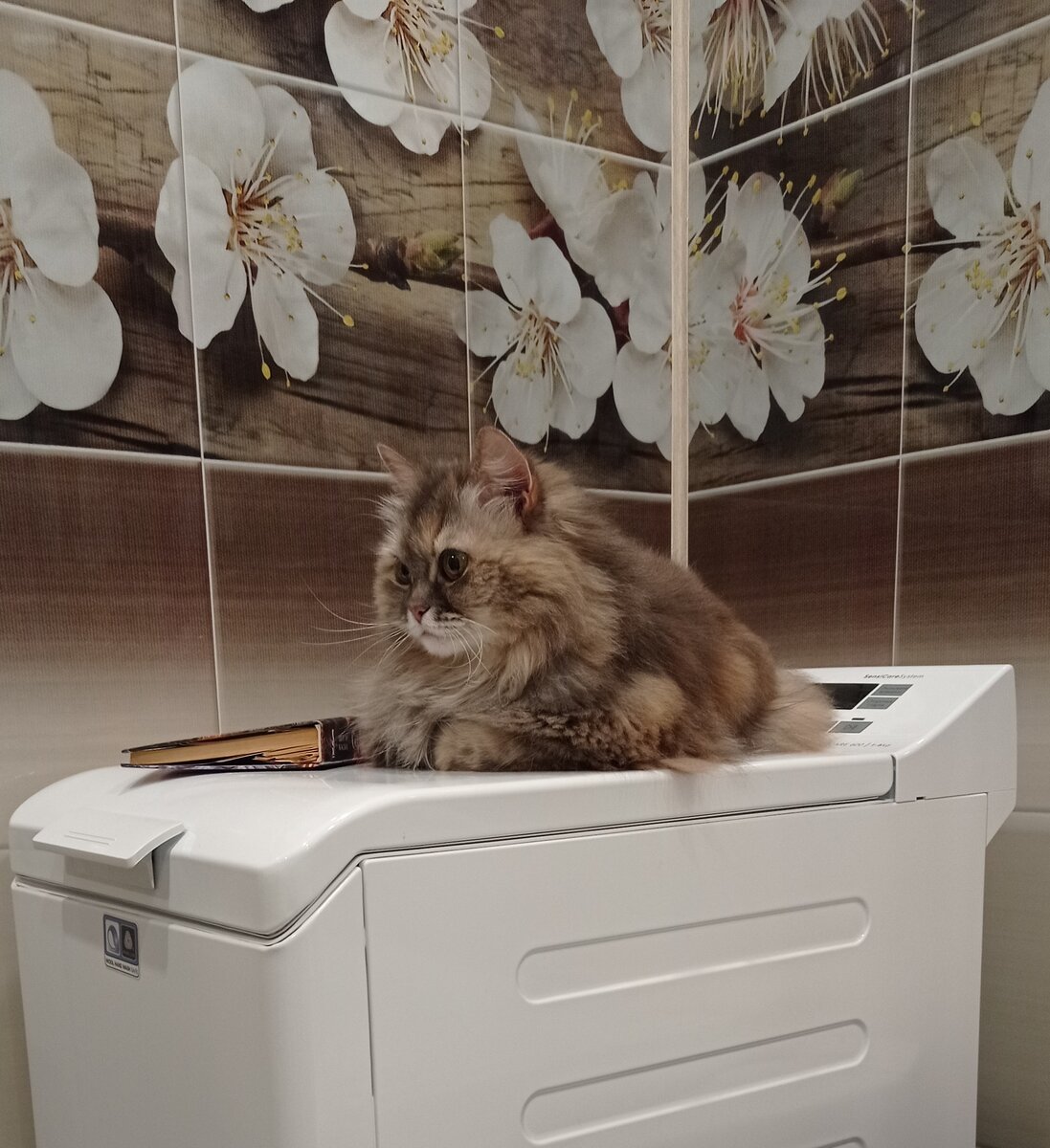 Поночка ,читает книжки)