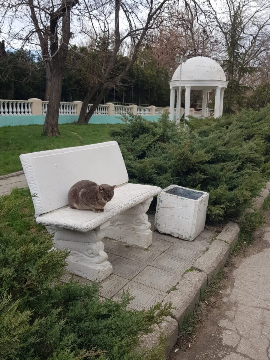 Феодосия. Я не замечала особых проблем с мусорками в Крыму. Даже если их вдруг нет поблизости, то не вижу сложности донести мусор до первой встречной урны или до своего номера. 