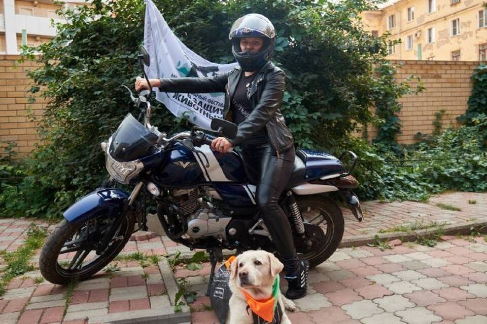     Волонтер поделилась опытом помощи бездомным животным и историями из жизни. ФОТО: Татьяна Сенина