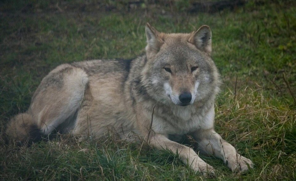     Фото: архив КП