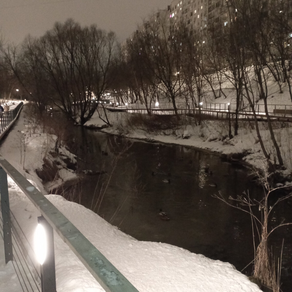 06 февраля 2023 года. Понедельник. Экотропа по пойме речушки Чермянки. Фото моё. И все остальные фото в статье мои.