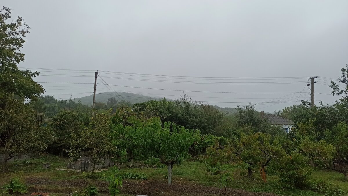 осенние пейзажи нашего участка