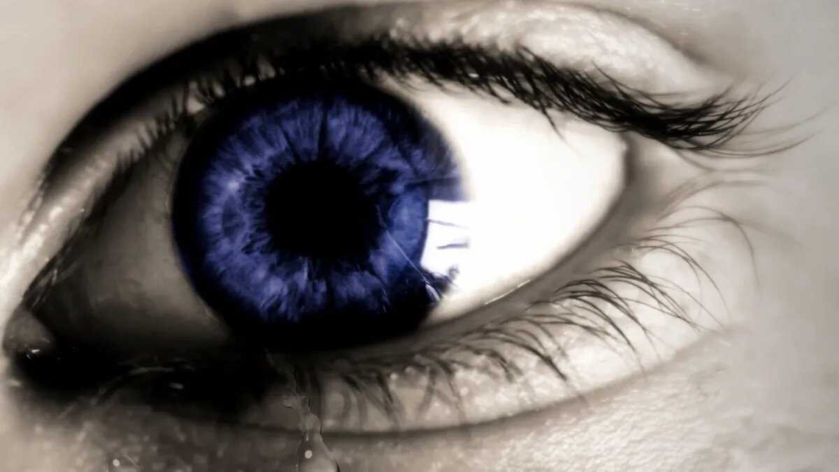 Фото: Pxfuel.com