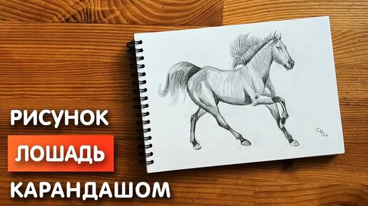 Как нарисовать лошадь карандашом | Рисунок для начинающих поэтапно