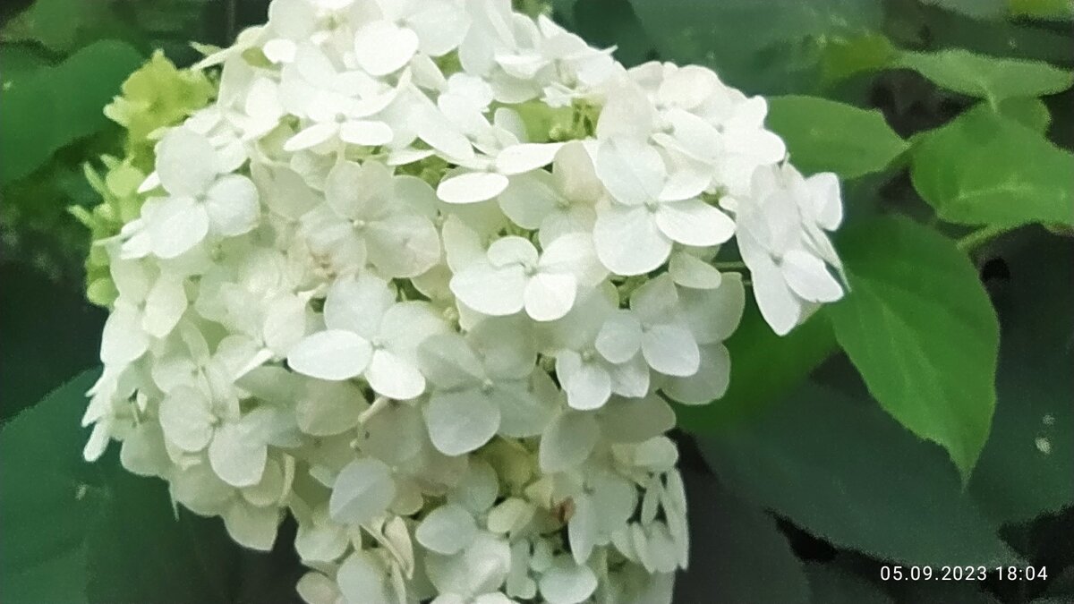 Природа | загадки природы | фотография автора 