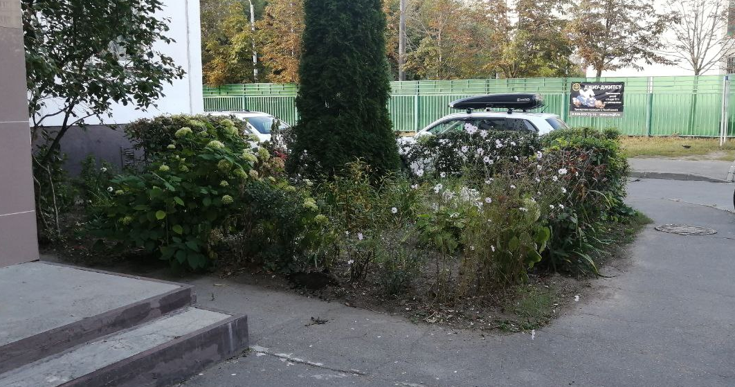 Как можно подумать, что это не клумба? да никак.