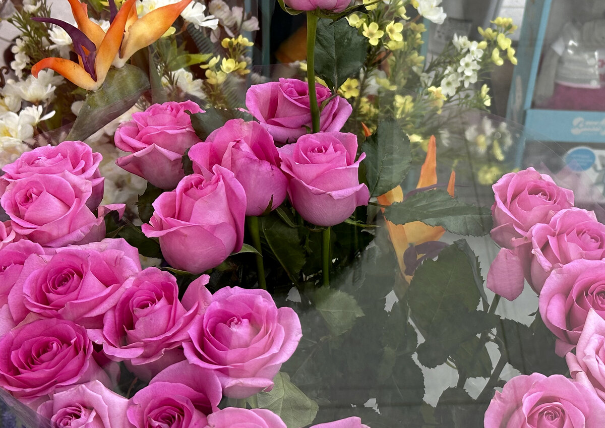    Откуда в Москву и Петербург везут цветы? Продавцы сообщают о росте цен