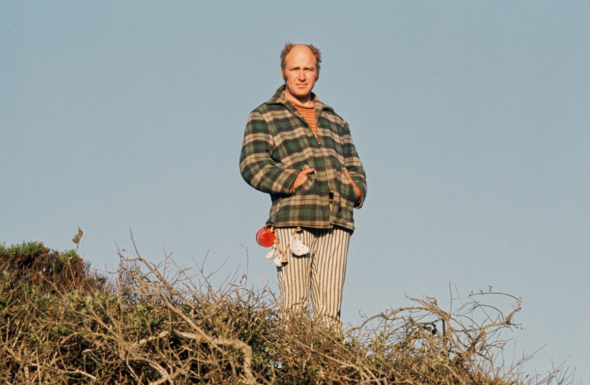 Изображения - интернет.