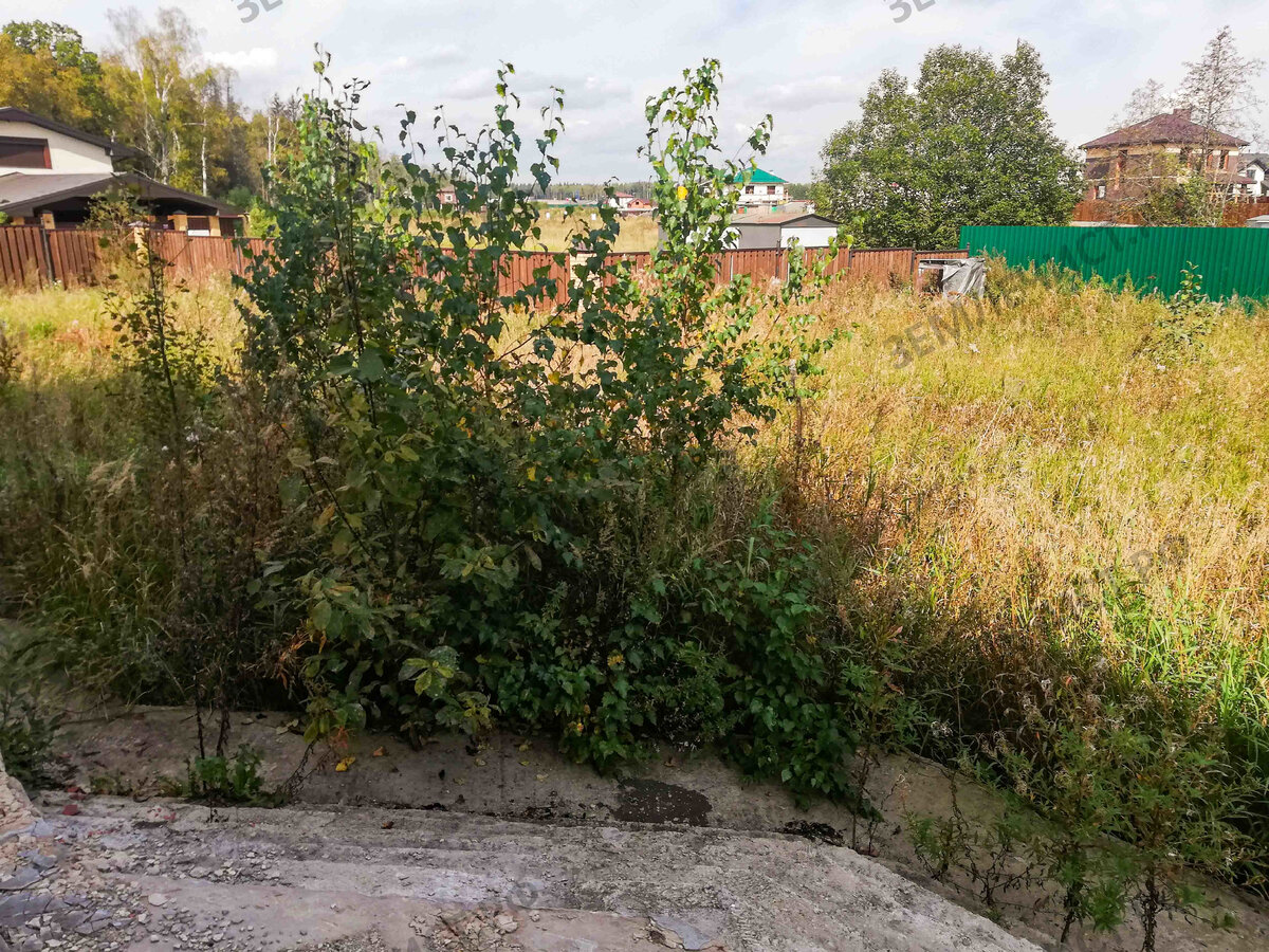 Фото участка до начала работ
