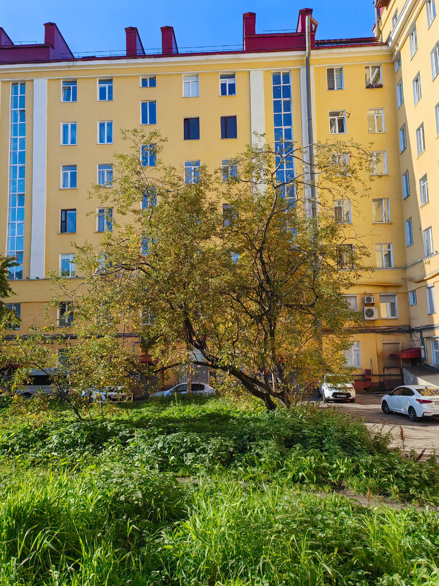 Наш двор.Фото вчерашнее