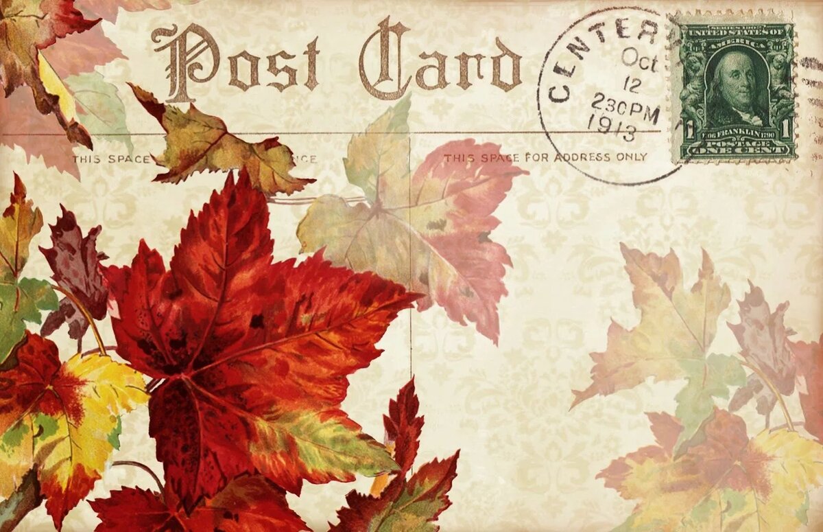 (картинка #спросторов_интернета)