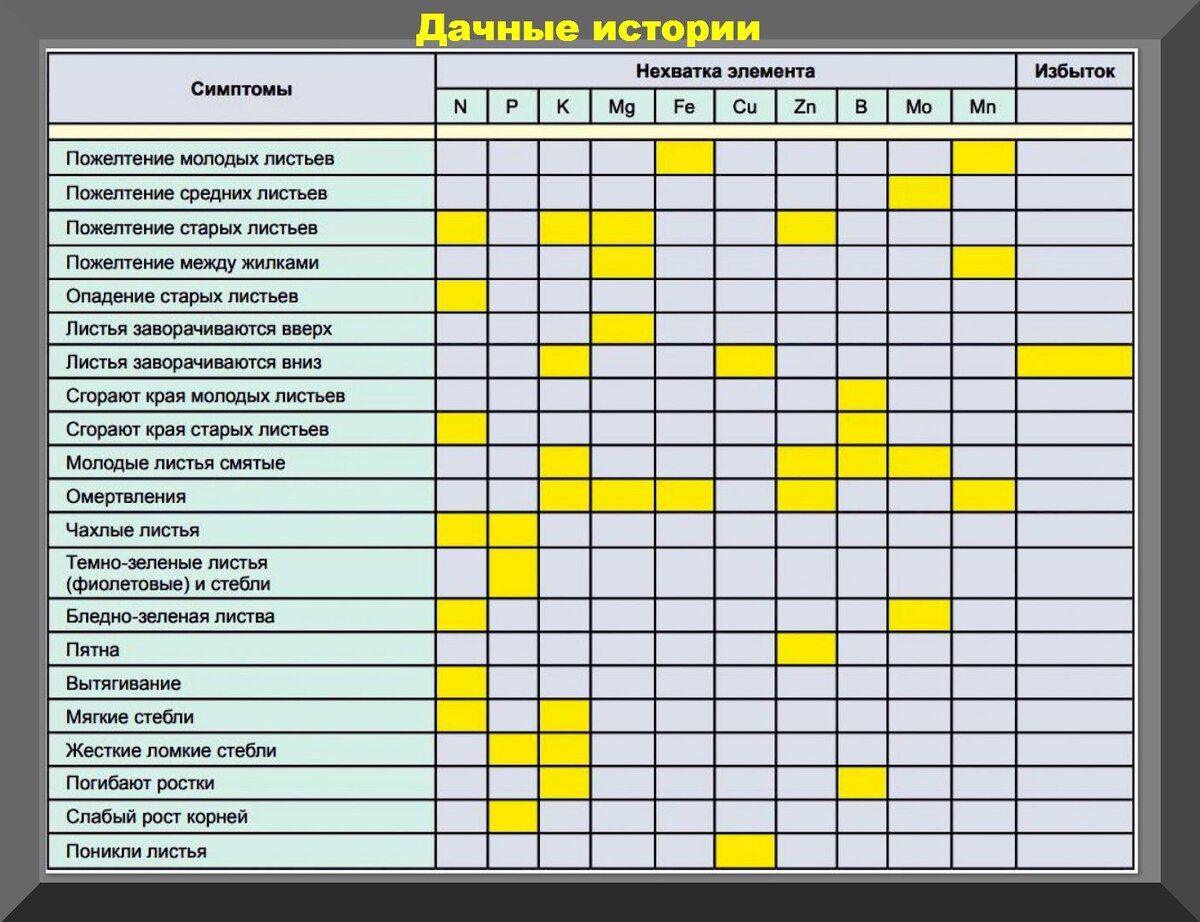 Не хватает микроэлементов томатам фото