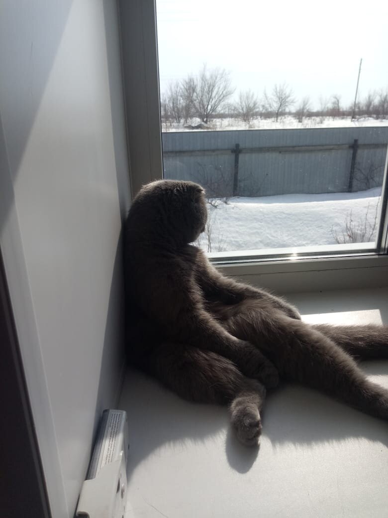 А правильно ли инвестирует хозяин? АЛИСА. 