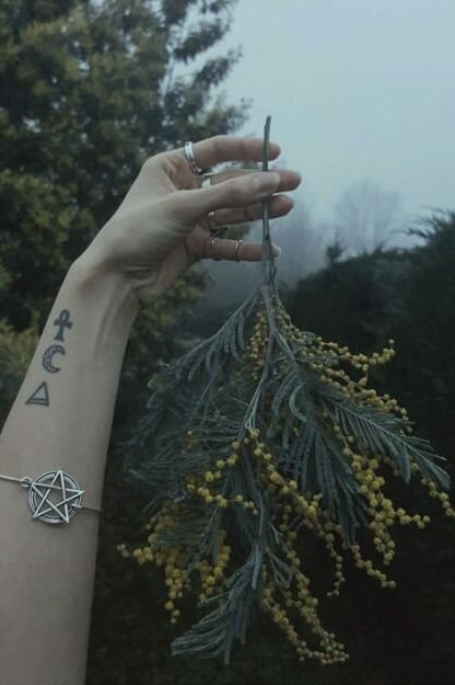 Пинтерест картинка