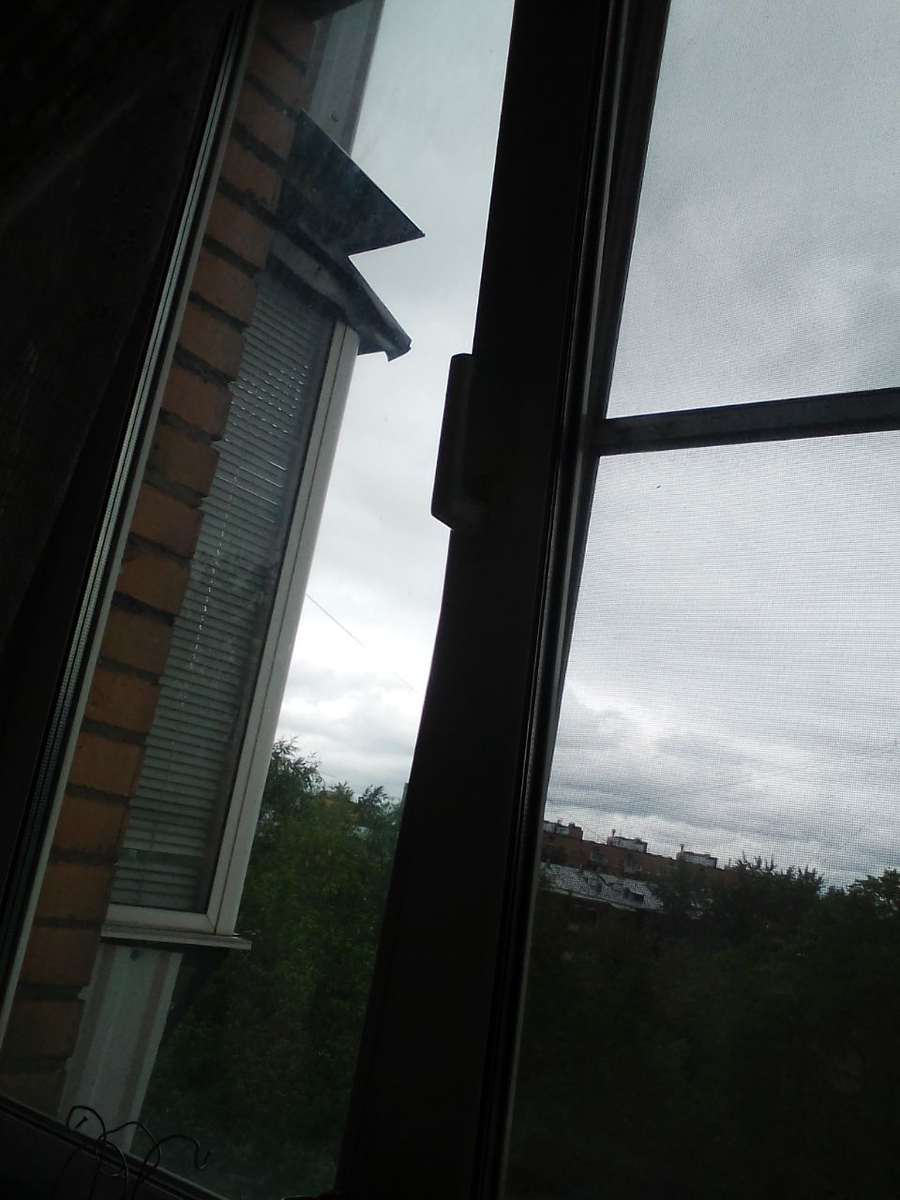Вид из моего окна