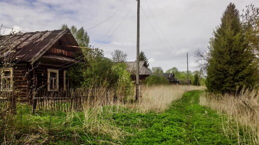 ЗАБРОШЕННАЯ ДЕРЕВНЯ ПОСРЕДИ ЛЕСА. ЗДЕСЬ БЫЛО СВОЁ ТОРФОПРЕДПРИЯТИЕ, КОЛХОЗ И ЛЕСОЗАВОД