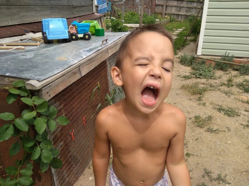 Просто иногда они ведут себя так невыносимо, что нам хочется прекратить это практически любой ценой. 