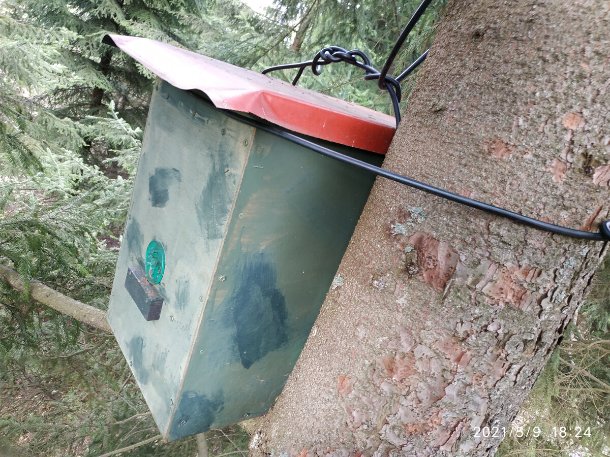 Ловушка перезимовала на дереве - при наступлении тепла следует закрыть леток! Иначе наловите кого-нибудь не того