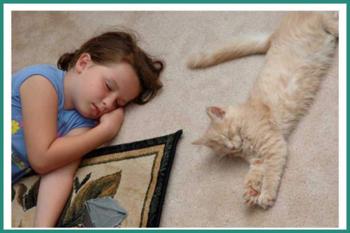 Сладкий сон