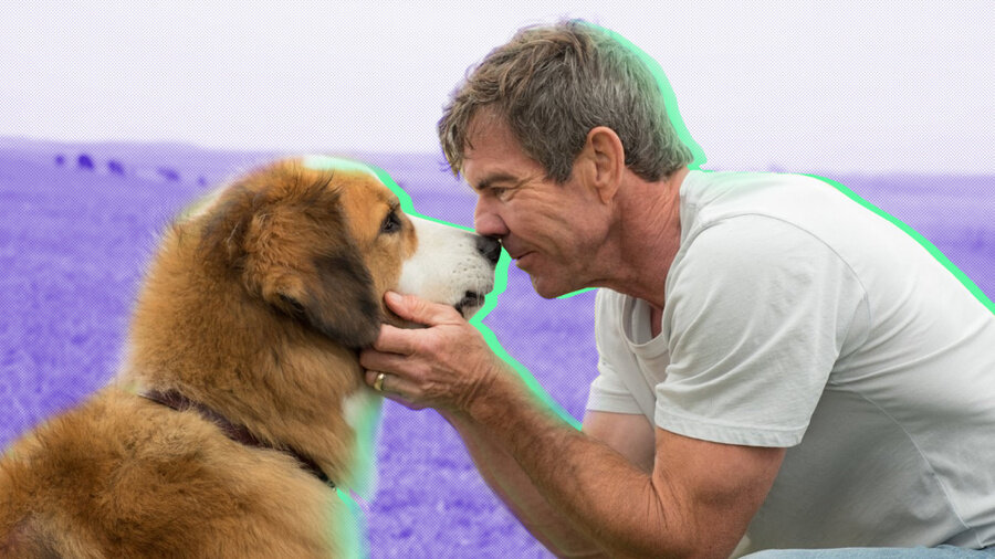 Обложка: База