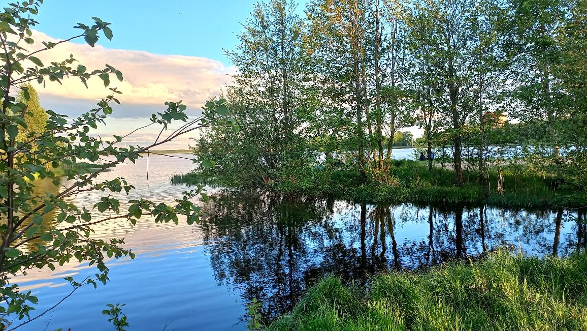 Сестрорецк. 22 мая 2021 года. Авторское фото.